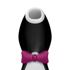 Satisfyer Pro Penguin Next Generation.